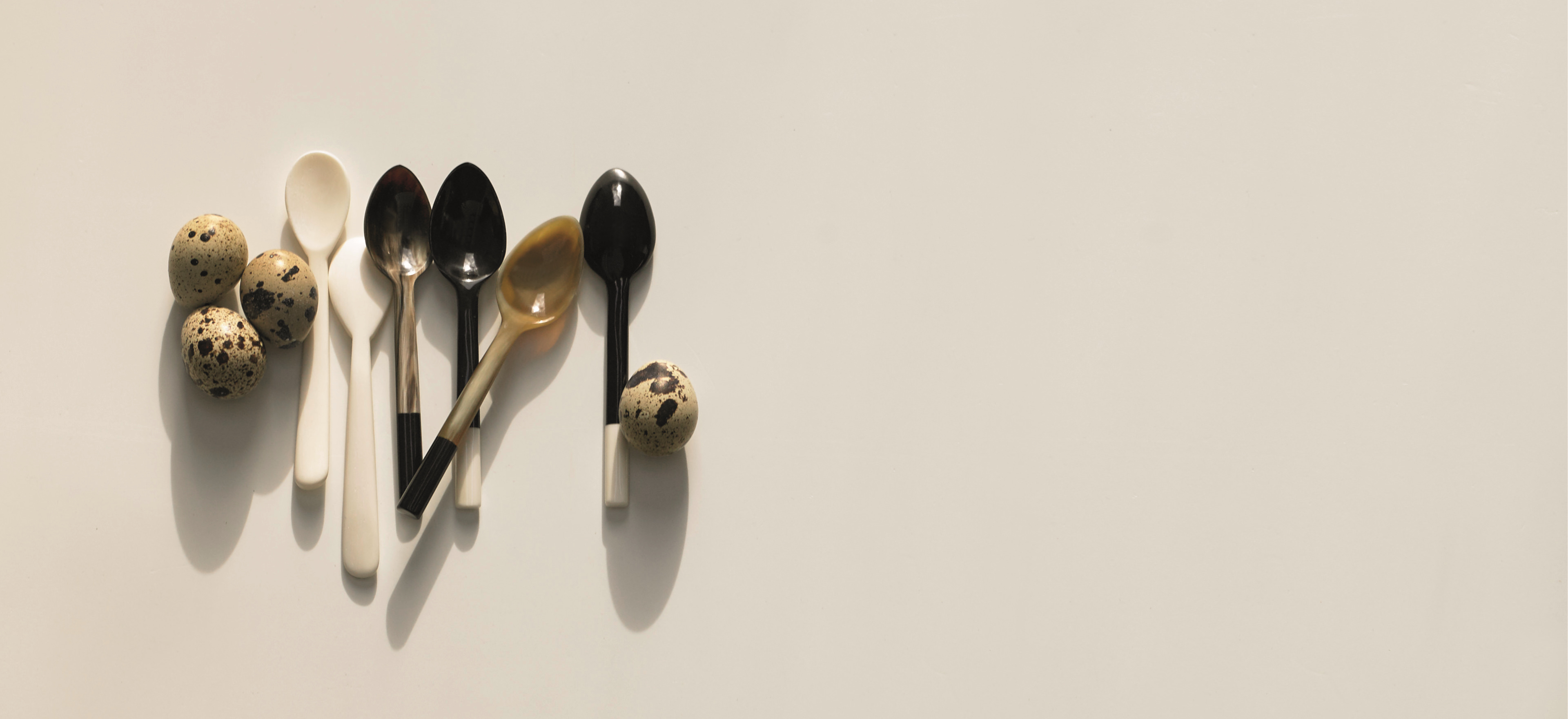 Various spoons from our craft horn ranges. Arranged in a line with miniature eggs on a white background.