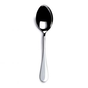 English stainless steel serving spoon