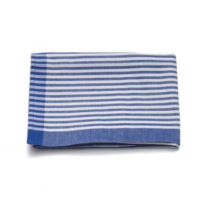 Swiss blue stripe kitchen towel
