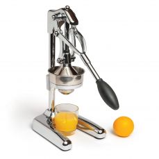 Professional juicer