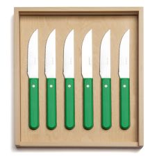 Pavilion green steak knife set