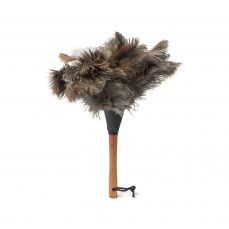 Small feather duster